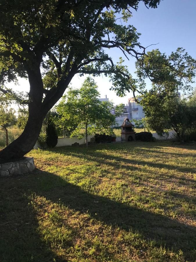 Barbara House Daire Kriopigi Dış mekan fotoğraf